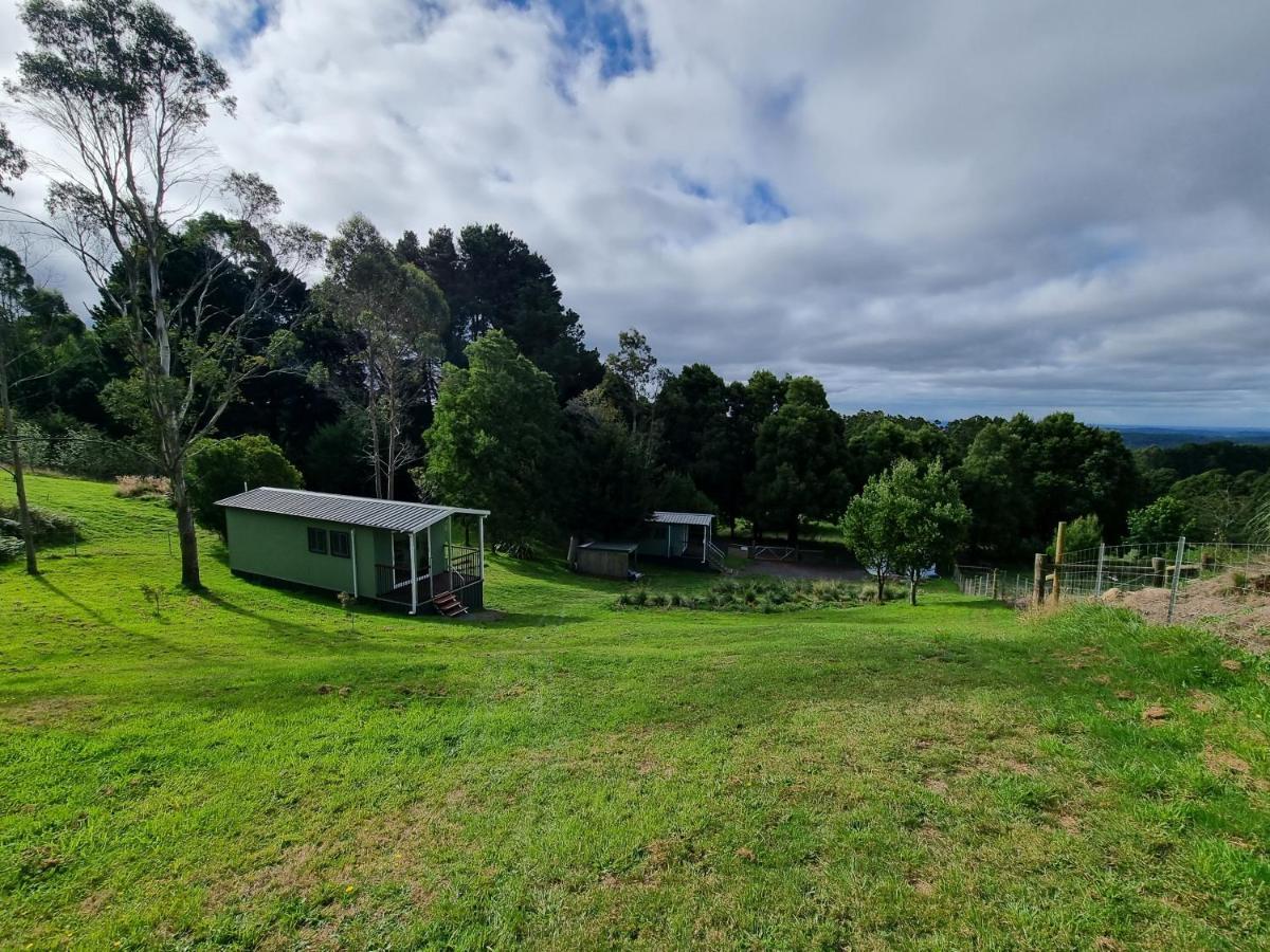 Cozy Otways Accommodation Beech Forest Exterior photo