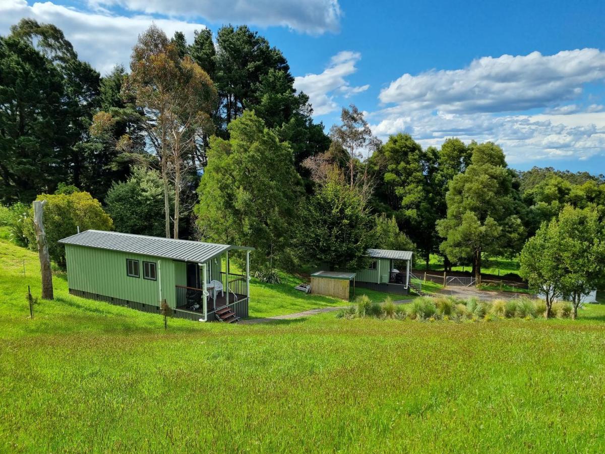 Cozy Otways Accommodation Beech Forest Exterior photo